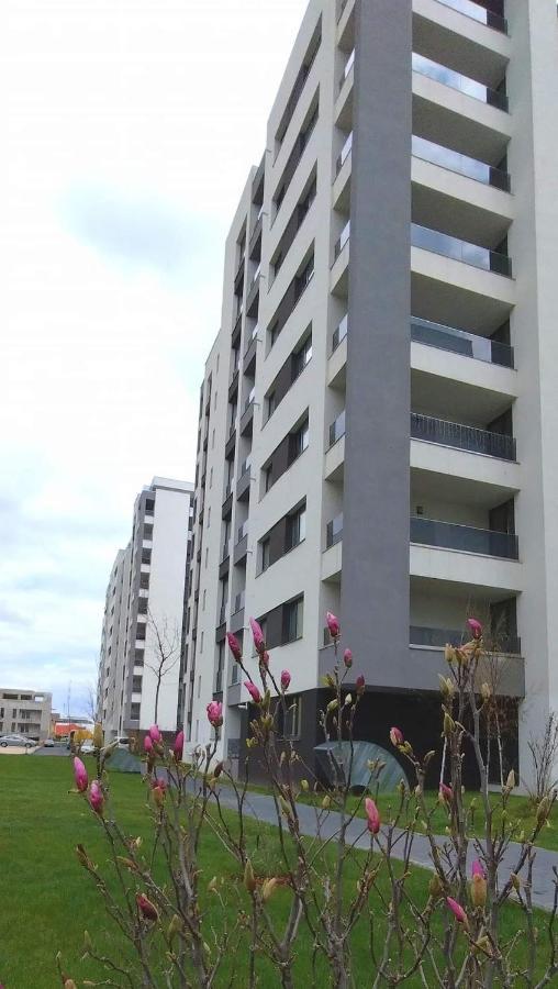 Brigitte Apartment בראשוב מראה חיצוני תמונה