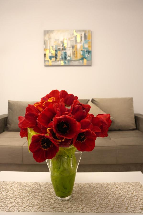 Brigitte Apartment בראשוב מראה חיצוני תמונה