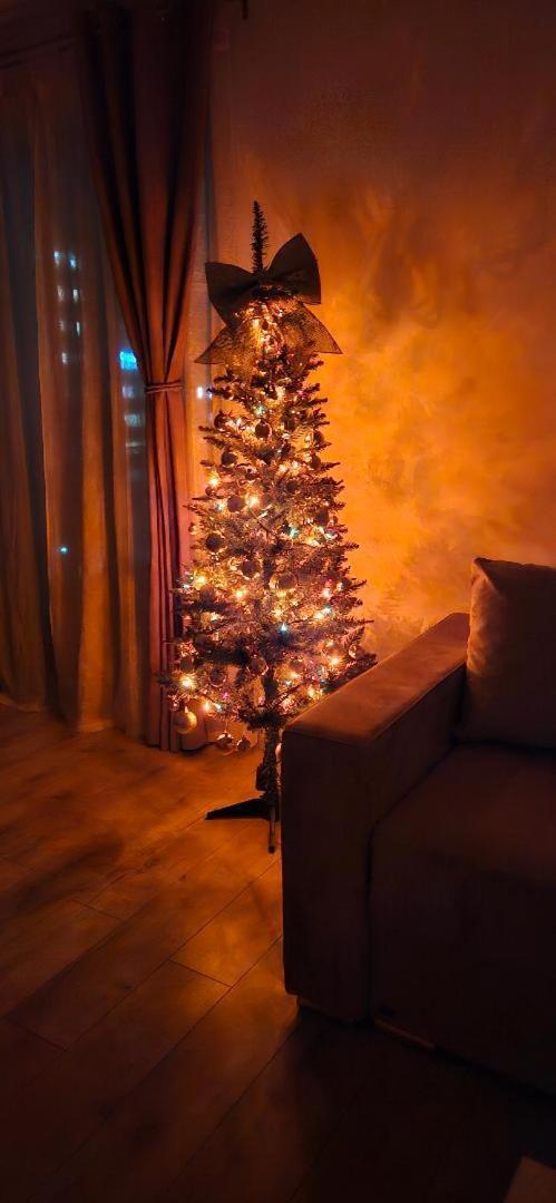Brigitte Apartment בראשוב מראה חיצוני תמונה